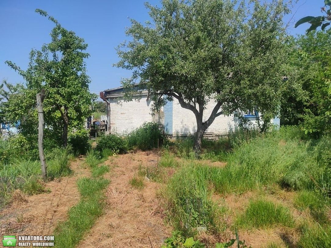 Sell house. Киевская обл., Великі Прицьки — photo 3