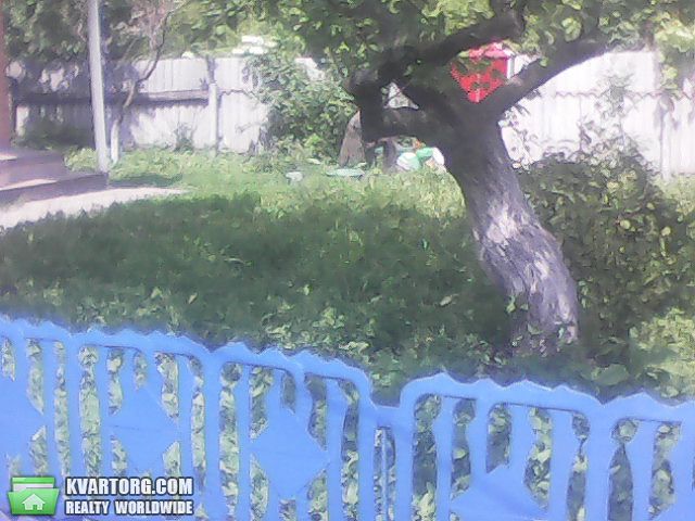 Sell house. Киевская обл., Коханка — photo 6
