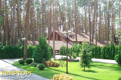 Sell house. Киевская обл., Плюты — photo 2