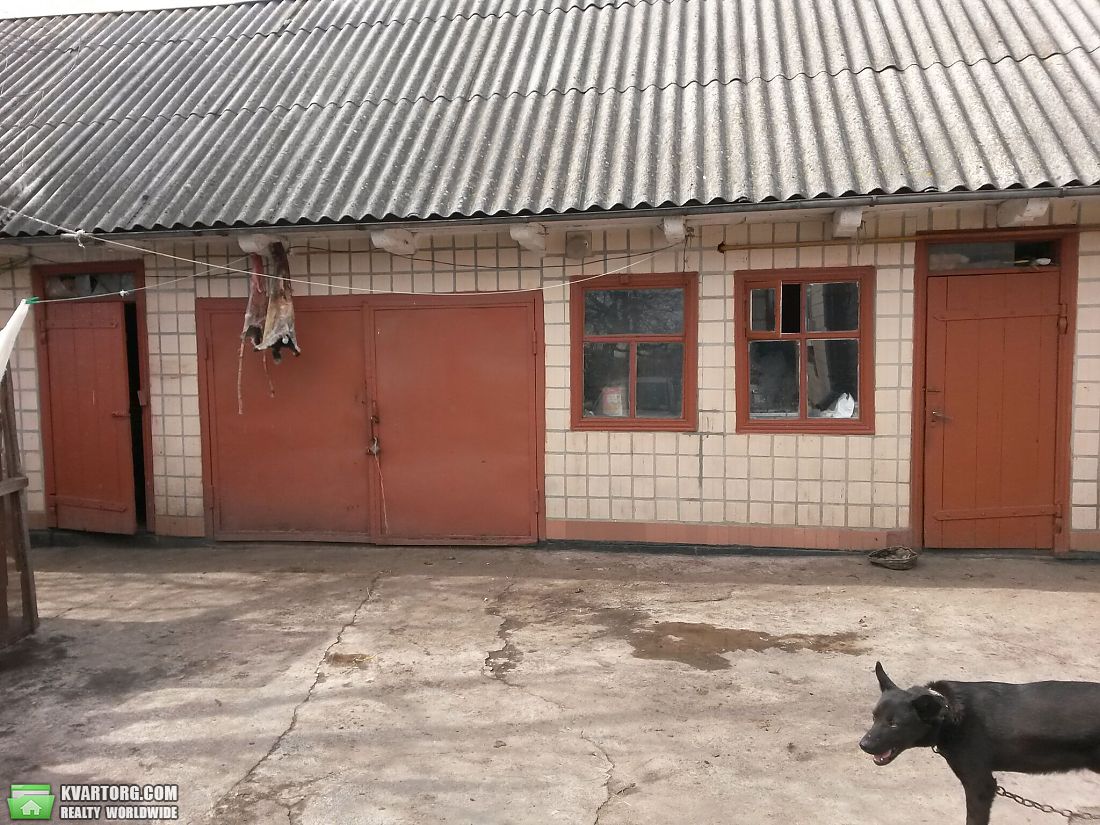 Sell house. Киевская обл., Шамравека — photo 8