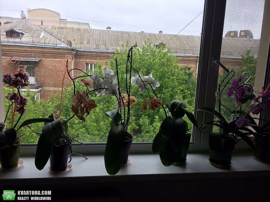 Sell 2-room apartment. Киев,  Задорожный пер — photo 7