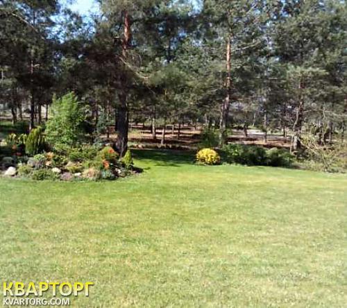 Rent out house. Киевская обл., Процев — photo 9