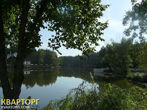 Rent out house. Киевская обл., Мощун — photo 3