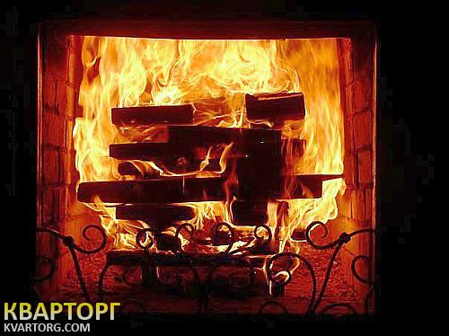 Rent out house. Киев, Пуховка — photo 10