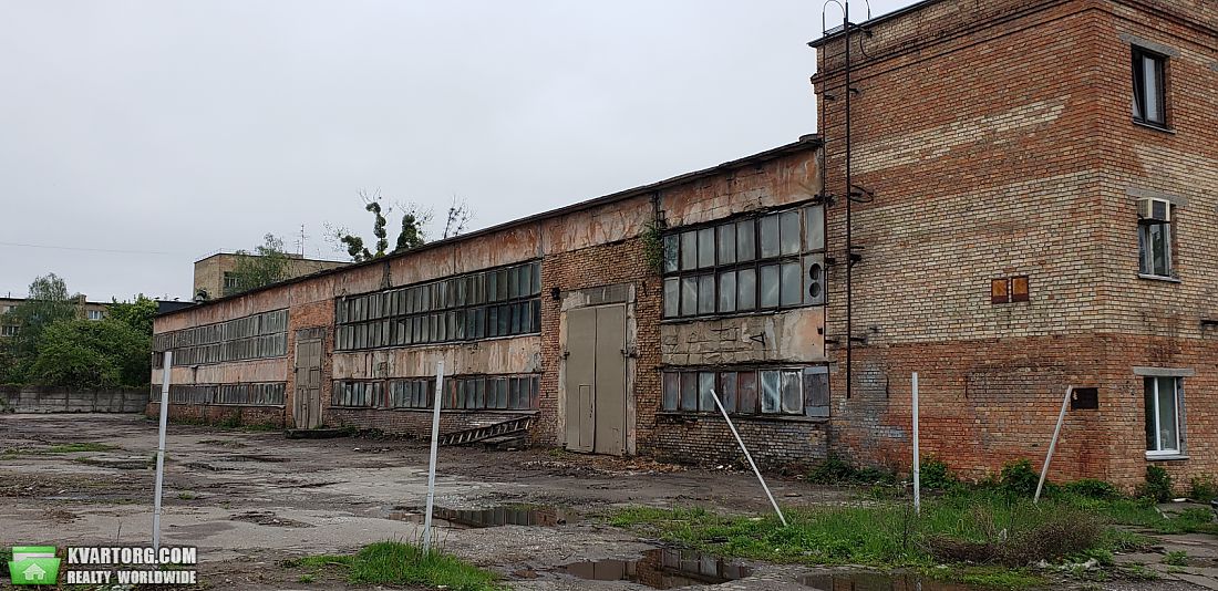 Rent out warehouse. Киев,  Святошинская — photo 3