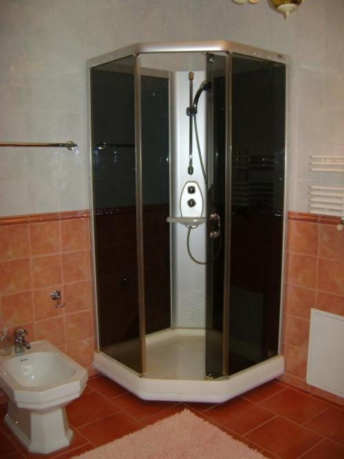 Rent out house. Киевская обл., Зеленая — photo 8