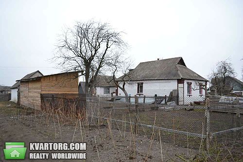 Sell house. Киевская обл., Скригаловка — photo 4