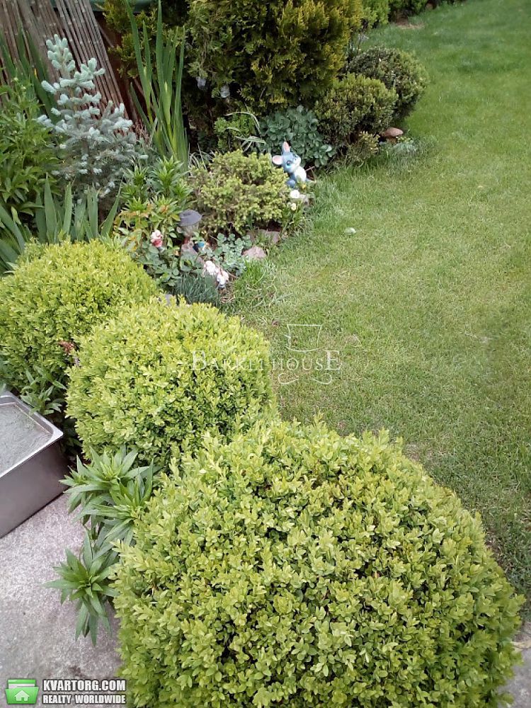 Rent out house. Киевская обл., николаевка — photo 10