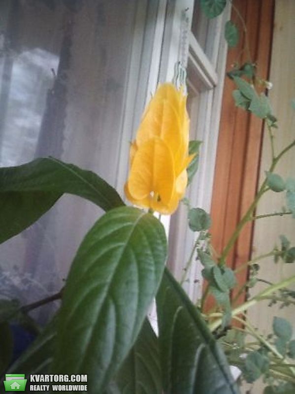 Sell 2-room apartment. Киев,  Кибальчича — photo 1