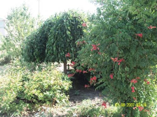 Sell house. Днепропетровск, Самарская — photo 2