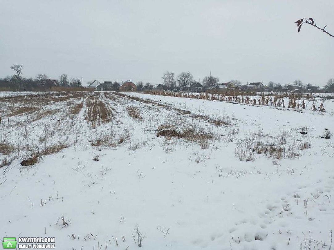 Sell house. Киевская обл., Фастівець — photo 2