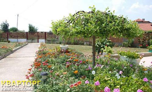 Rent out 2-room apartment. Киев, Балчик — photo 4