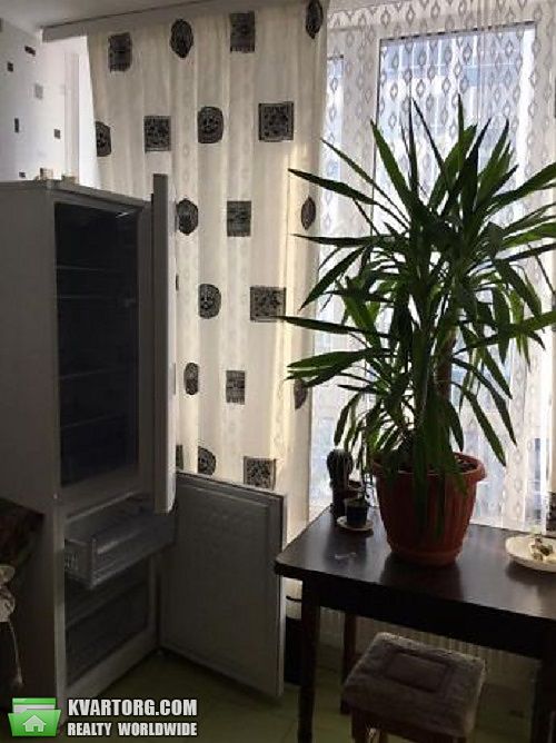 Rent out 1-room apartment. Киев, мира — photo 2