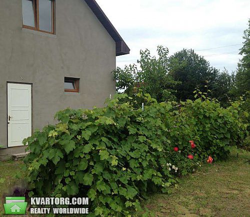 Sell house. Киевская обл., Шевченково — photo 3