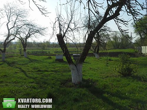Sell house. Киевская обл., Кухари — photo 9