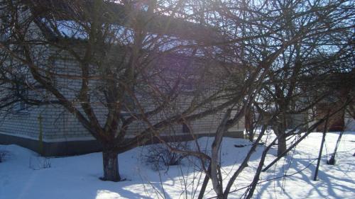 Sell house. Киевская обл., Садовая — photo 1