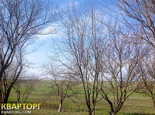Sell house. Николаев, степная — photo 2