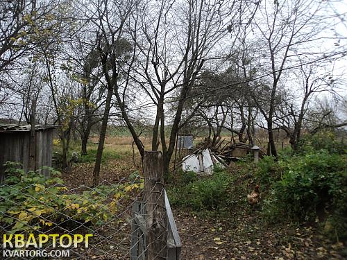 Sell house. Киевская обл., Халепье — photo 4