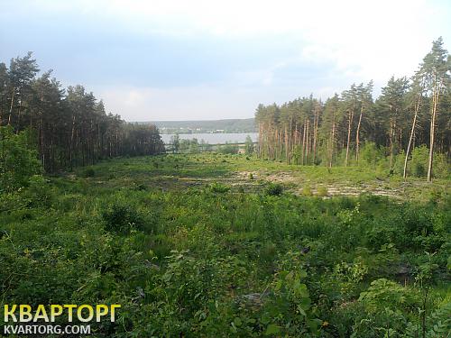 Sell house. Киевская обл., Малютянка — photo 7