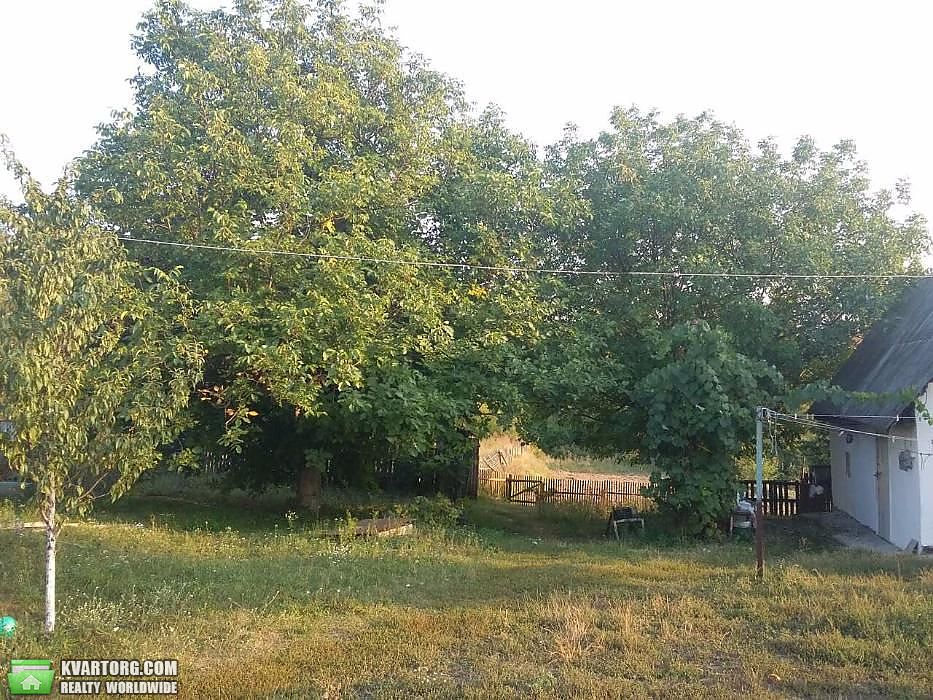 Sell house. Киевская обл., Шевченка — photo 5