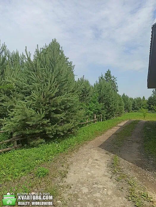 Sell house. Луцк, Центральная — photo 9