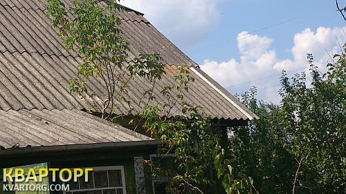 Sell house. Житомир, центральная — photo 2