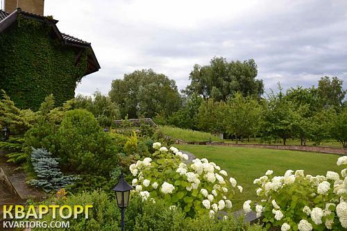 Rent out house. Киевская обл., Большая Дамба — photo 5