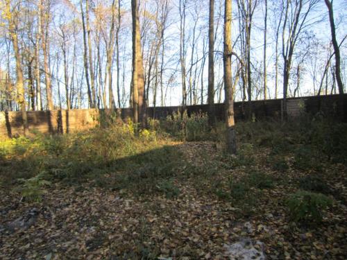 Sell house. Киевская обл., Лесная — photo 5