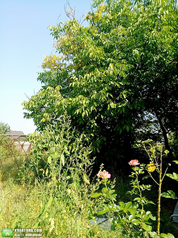Sell house. Киевская обл., Бобрица — photo 7