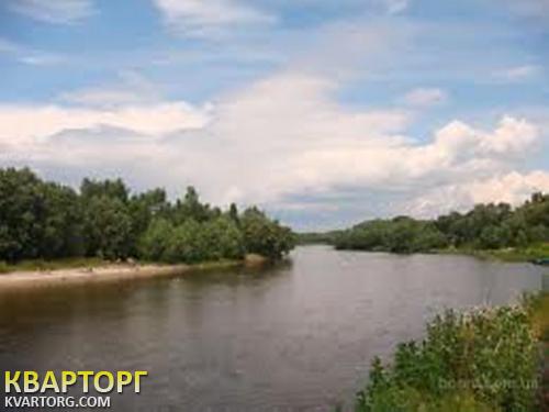 Rent out house. Киевская обл., Летки — photo 1
