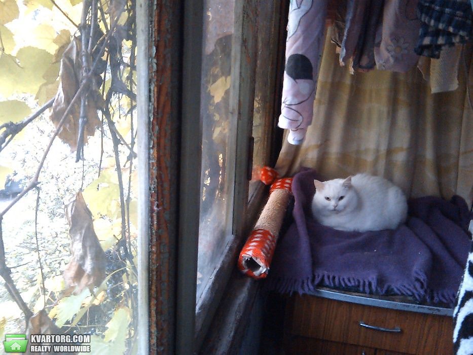 Sell 3-room apartment. Киев, Марка Безручко — photo 6