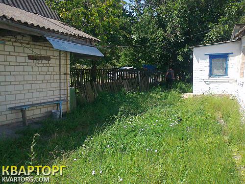 Sell house. Киевская обл., Лосятин — photo 1