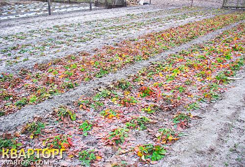 Sell house. Луганск, Советская — photo 4