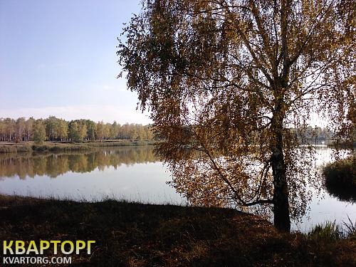 Sell house. Киевская обл., кооп.Вишневый — photo 9