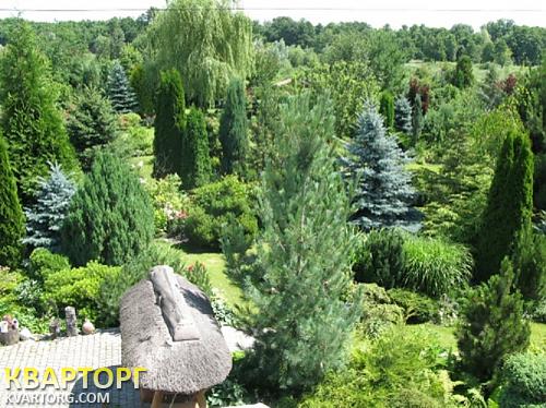 Rent out house. Киевская обл., Новые Безрадичи — photo 8