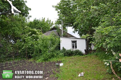 Sell house. Киевская обл., Колхозная — photo 5