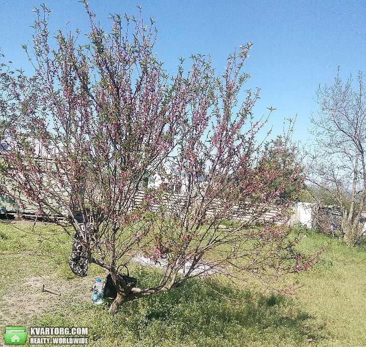 Sell house. Одесса,  Шевченко пер — photo 1