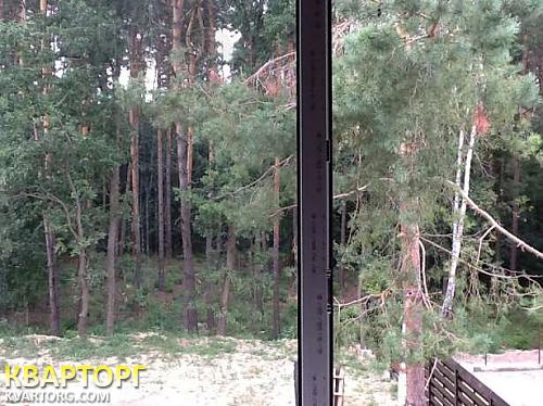Sell house. Украинка, с.Гореничи — photo 6