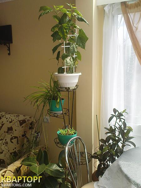 Rent out house. Киевская обл., ворзель — photo 6