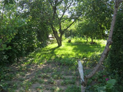 Rent out house. Киевская обл., Новоселки — photo 4