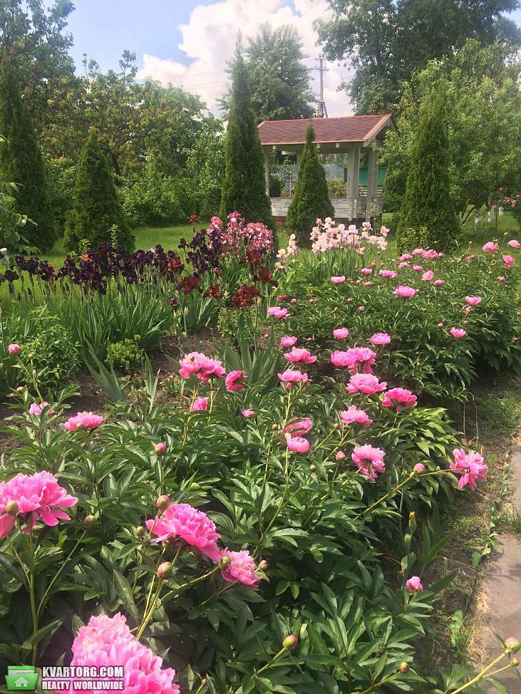 Sell house. Киев,  Садовая Осокорки — photo 6