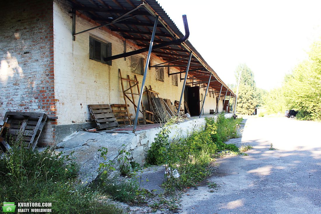 Sell warehouse. Киевская обл., белая церковь — photo 8
