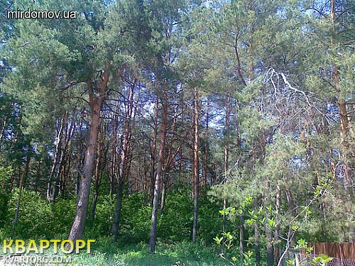 Sell house. Киевская обл., Полевая — photo 3