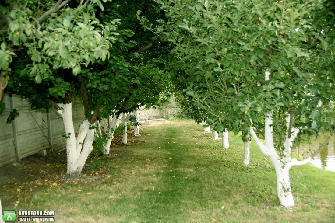 Sell house. Киевская обл., с.Подгорцы — photo 4