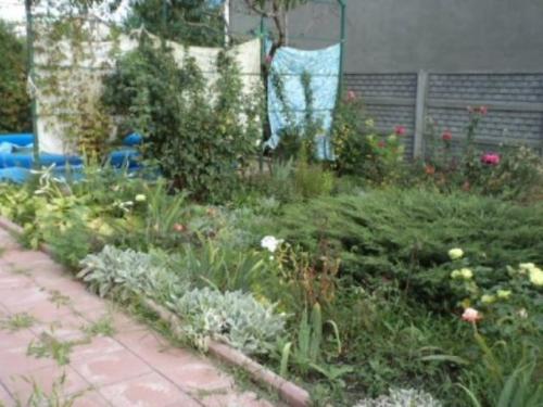 Sell house. Одесса, Червоный Хутор — photo 3