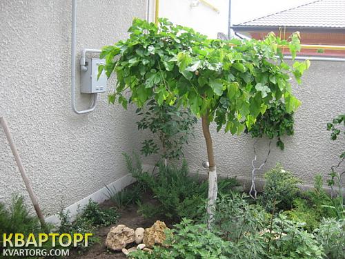Sell house. Одесса, Ёлочная — photo 10