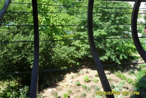 Rent out 1-room apartment. Одесса, вулиця Ільфа та Петрова — photo 4