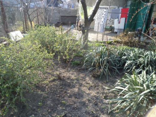 Sell house. Одесса, Октябрьской революции — photo 7