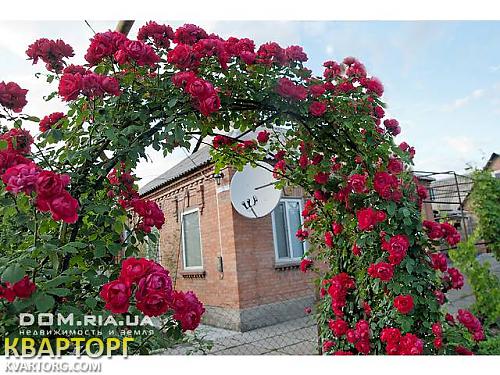 Sell house. Кировоград, Жовтнева — photo 4