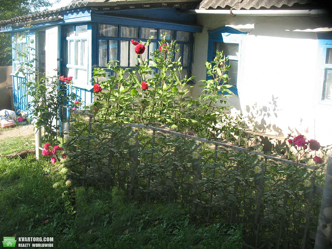 Sell house. Киевская обл., Жовтнева — photo 1
